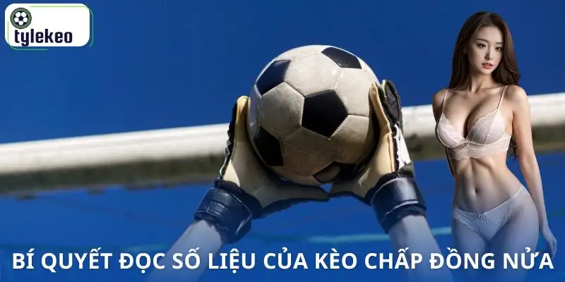 keo-chap-dong-nua-la-gi-xem-xet-so-lieu