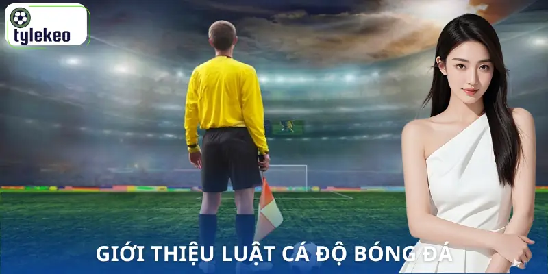 luat-ca-do-bong-da-khai-niem