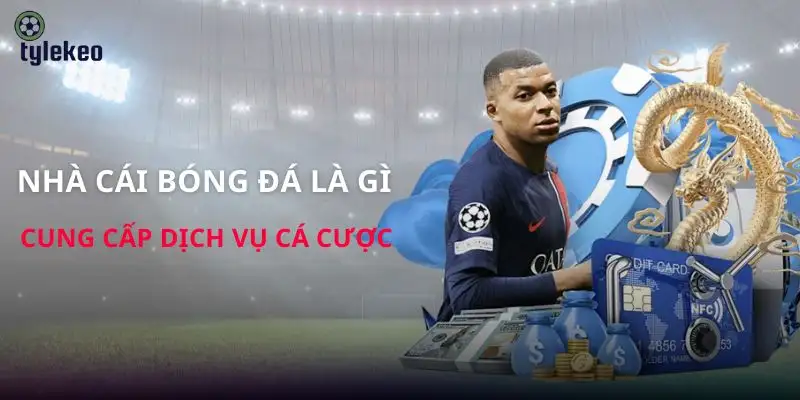 nha-cai-bong-da-la-gi